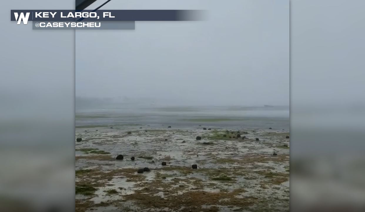 Drained Ocean Beds During Hurricane Irma Explained