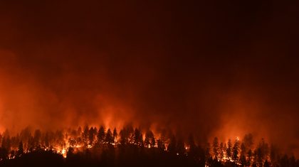 Fighting Fires with Forecasts